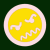 schiggi